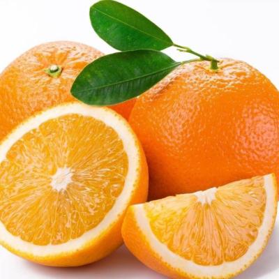 LARANJA  ORGÂNICA KG (+/- 7 UND)