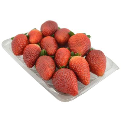 MORANGO PREMIUM (4x Bdj-250g) 1KG