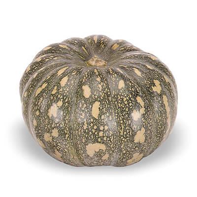 ABÓBORA JACAREZINHO