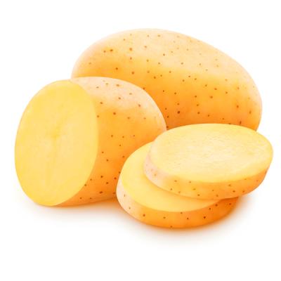 BATATA INGLESA FLORÃO