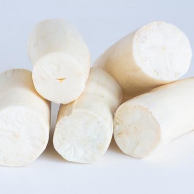 MACAXEIRA S/CASCA CONGELADA