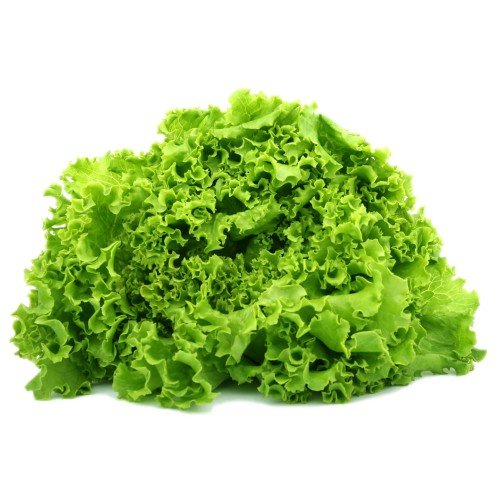 Alface Crespa